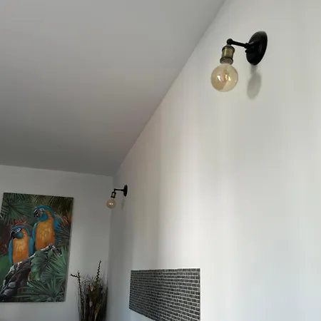 Moradia T3 Com Piscina Villa Quinta do Anjo